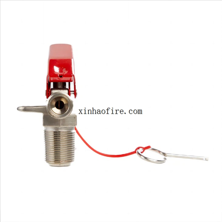 6kg Carbon Dioxide Fire Extinguisher Vavle