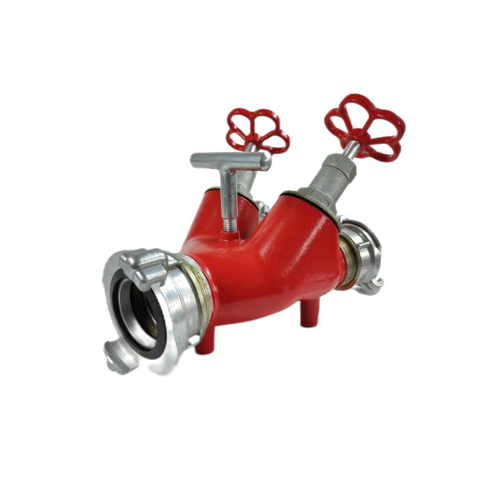 2024042711093911 2024042711093911